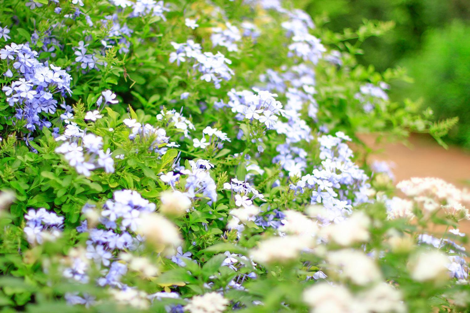 Pottery Flower B&B Jiji Dış mekan fotoğraf